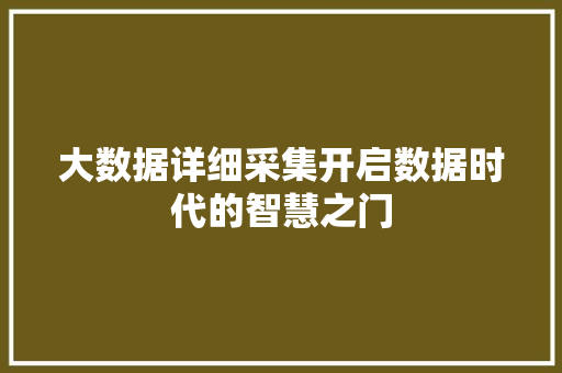 大数据详细采集开启数据时代的智慧之门