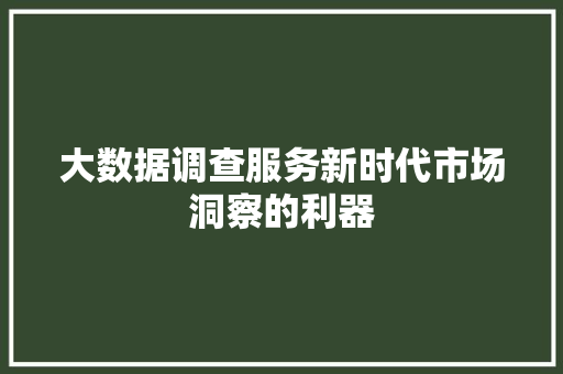 大数据调查服务新时代市场洞察的利器