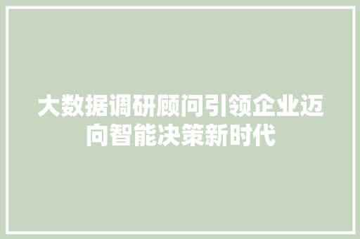 大数据调研顾问引领企业迈向智能决策新时代 编程语言
