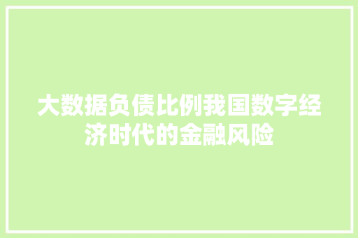 大数据负债比例我国数字经济时代的金融风险