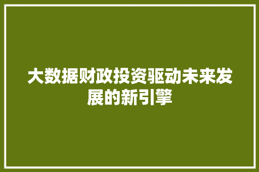大数据财政投资驱动未来发展的新引擎