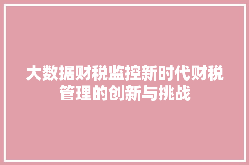 大数据财税监控新时代财税管理的创新与挑战