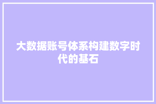 大数据账号体系构建数字时代的基石