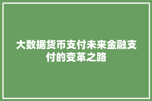 大数据货币支付未来金融支付的变革之路
