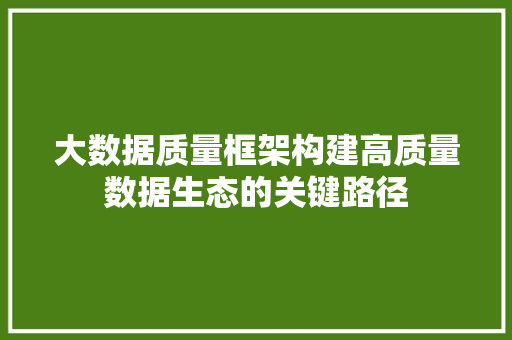 大数据质量框架构建高质量数据生态的关键路径