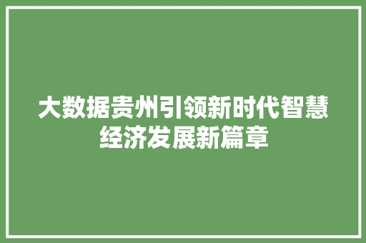 大数据贵州引领新时代智慧经济发展新篇章