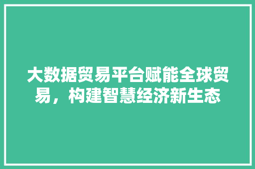 大数据贸易平台赋能全球贸易，构建智慧经济新生态 操作系统