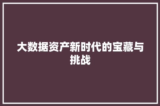 大数据资产新时代的宝藏与挑战 操作系统