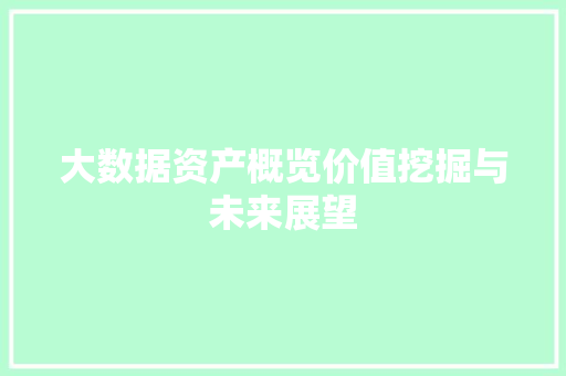 大数据资产概览价值挖掘与未来展望