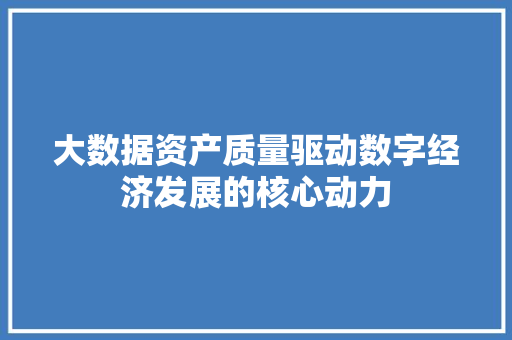 大数据资产质量驱动数字经济发展的核心动力
