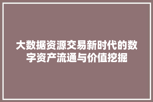 大数据资源交易新时代的数字资产流通与价值挖掘