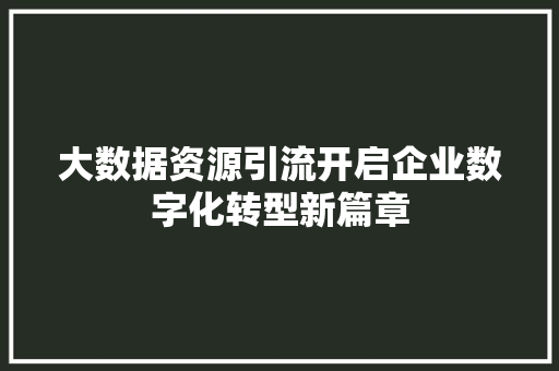 大数据资源引流开启企业数字化转型新篇章 大数据资源引流开启企业数字化转型新篇章