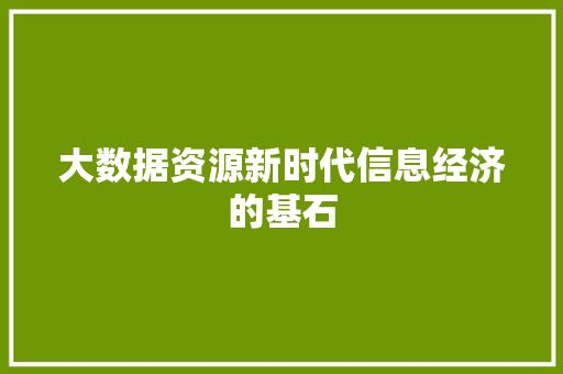 大数据资源新时代信息经济的基石