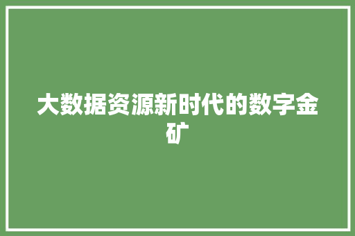 大数据资源新时代的数字金矿