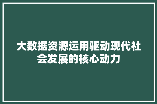 大数据资源运用驱动现代社会发展的核心动力