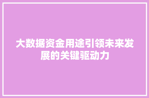 大数据资金用途引领未来发展的关键驱动力