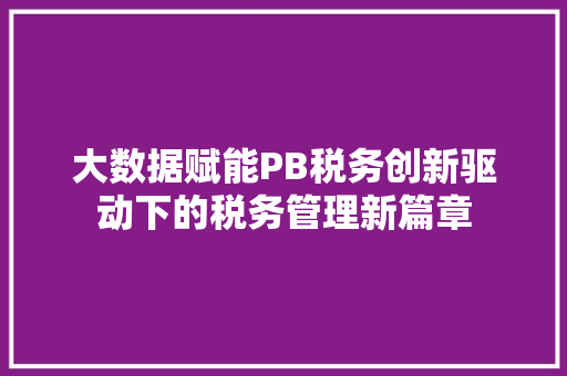大数据赋能PB税务创新驱动下的税务管理新篇章