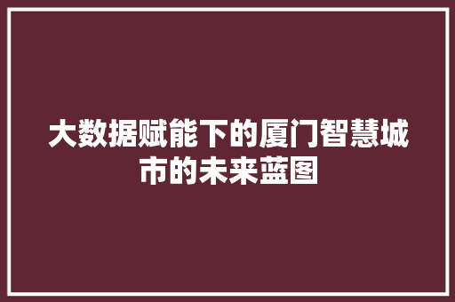 大数据赋能下的厦门智慧城市的未来蓝图