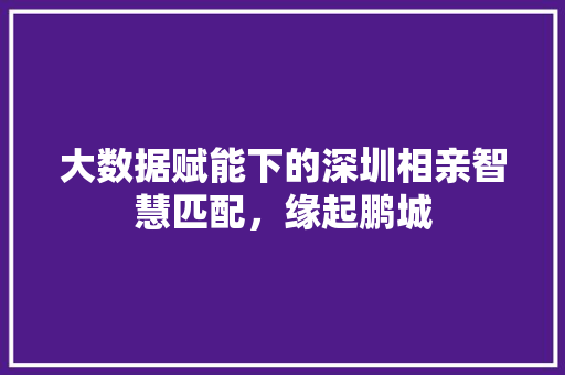 大数据赋能下的深圳相亲智慧匹配，缘起鹏城