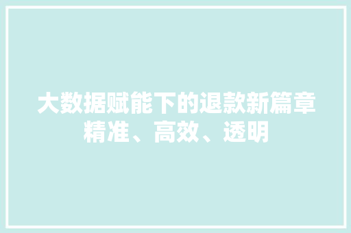 大数据赋能下的退款新篇章精准、高效、透明
