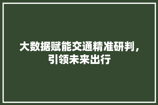 大数据赋能交通精准研判，引领未来出行