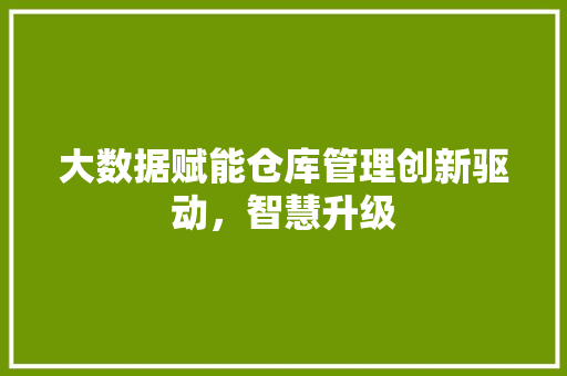 大数据赋能仓库管理创新驱动，智慧升级 电脑基础
