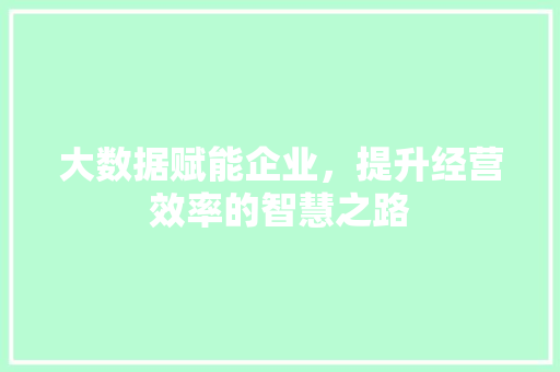 大数据赋能企业，提升经营效率的智慧之路 电脑故障维修