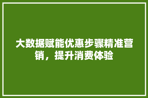 大数据赋能优惠步骤精准营销，提升消费体验 电脑故障维修