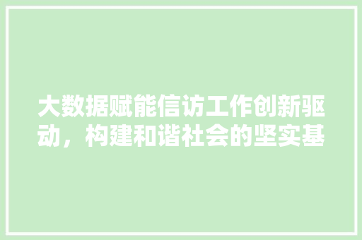 大数据赋能信访工作创新驱动，构建和谐社会的坚实基石 电脑基础