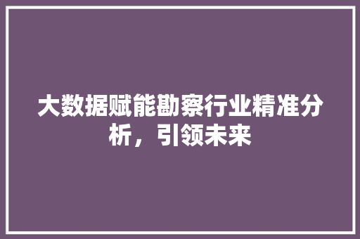 大数据赋能勘察行业精准分析，引领未来 电脑基础