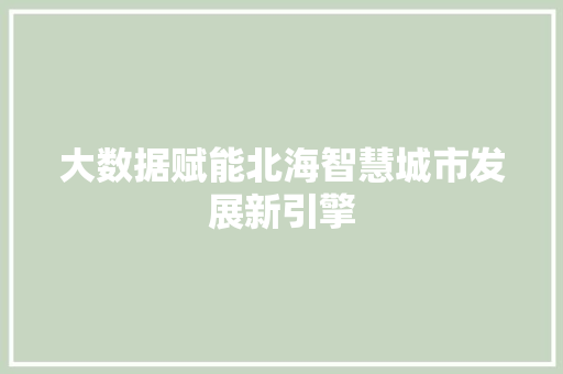 大数据赋能北海智慧城市发展新引擎