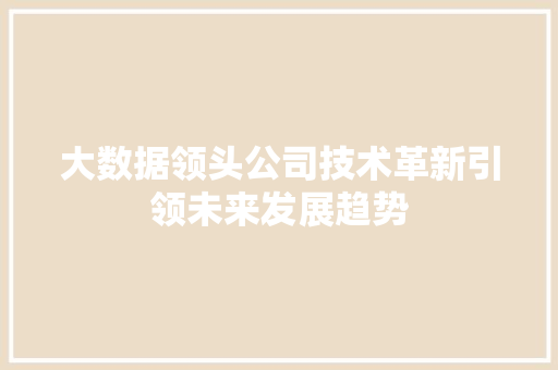 大数据领头公司技术革新引领未来发展趋势