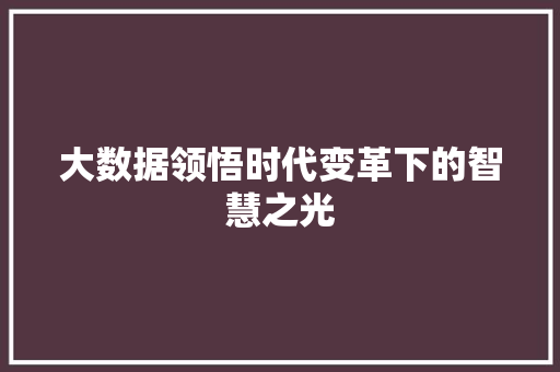 大数据领悟时代变革下的智慧之光