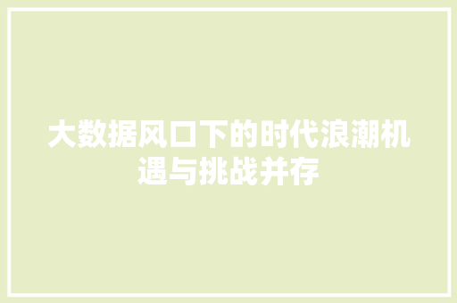 大数据风口下的时代浪潮机遇与挑战并存