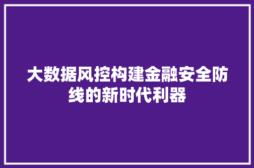 大数据风控构建金融安全防线的新时代利器