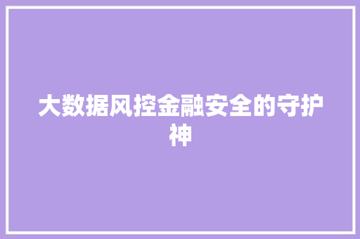 大数据风控金融安全的守护神