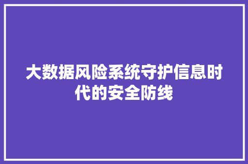 大数据风险系统守护信息时代的安全防线 大数据风险系统守护信息时代的安全防线