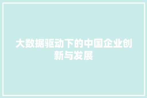 大数据驱动下的中国企业创新与发展