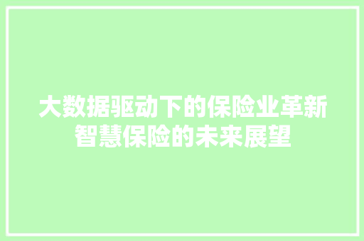 大数据驱动下的保险业革新智慧保险的未来展望