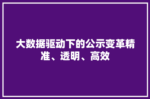 大数据驱动下的公示变革精准、透明、高效