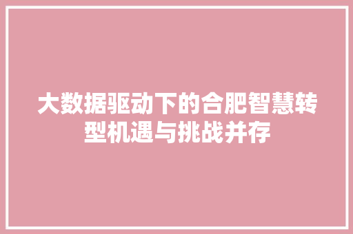 大数据驱动下的合肥智慧转型机遇与挑战并存