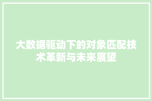 大数据驱动下的对象匹配技术革新与未来展望 大数据驱动下的对象匹配技术革新与未来展望