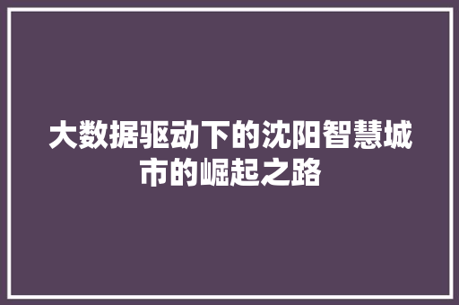 大数据驱动下的沈阳智慧城市的崛起之路