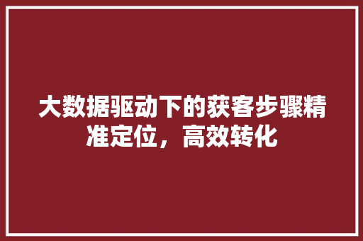 大数据驱动下的获客步骤精准定位,高效转化 大数据驱动下的获客步骤精准定位,高效转化