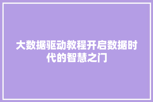 大数据驱动教程开启数据时代的智慧之门
