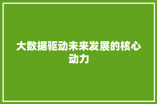 大数据驱动未来发展的核心动力