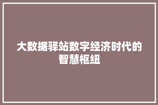 大数据驿站数字经济时代的智慧枢纽