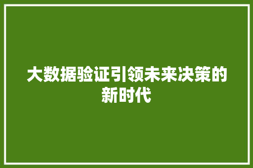大数据验证引领未来决策的新时代