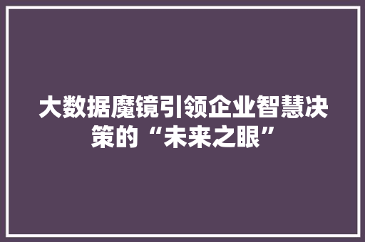 大数据魔镜引领企业智慧决策的“未来之眼” 大数据魔镜引领企业智慧决策的“未来之眼”
