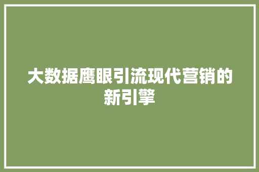 大数据鹰眼引流现代营销的新引擎